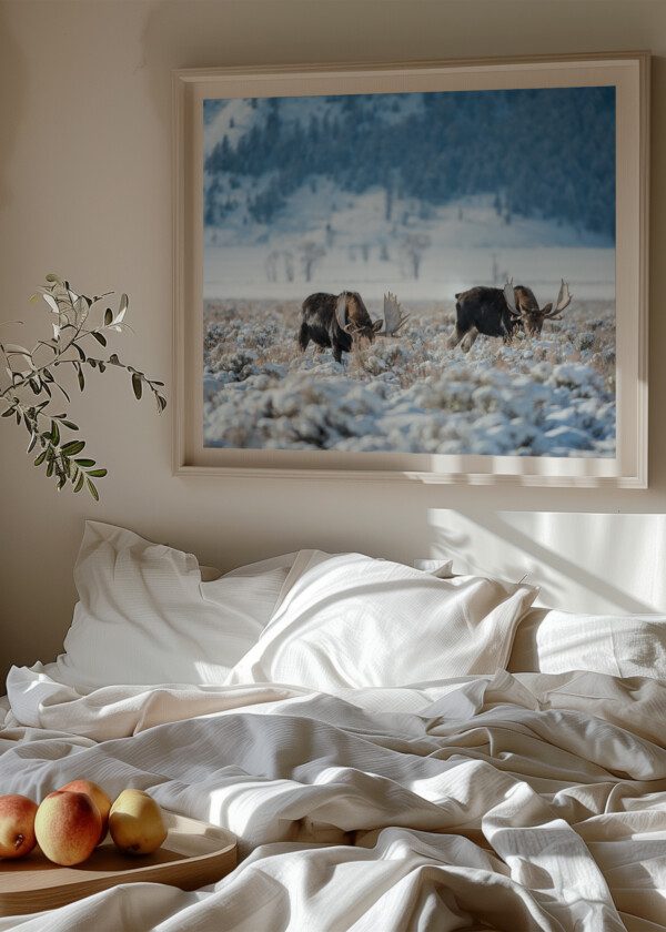 MOOSE