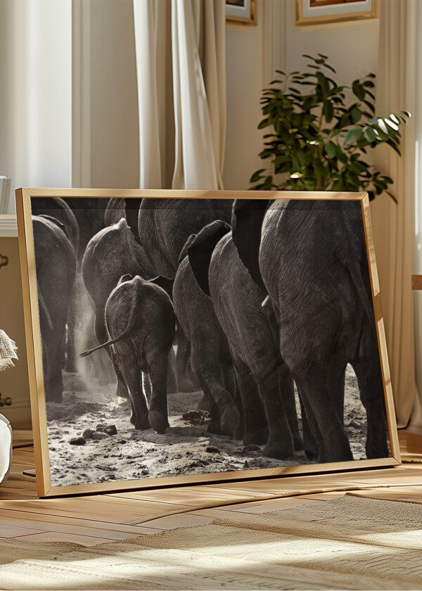 ELEPHANTS WITH YOUNG BABY