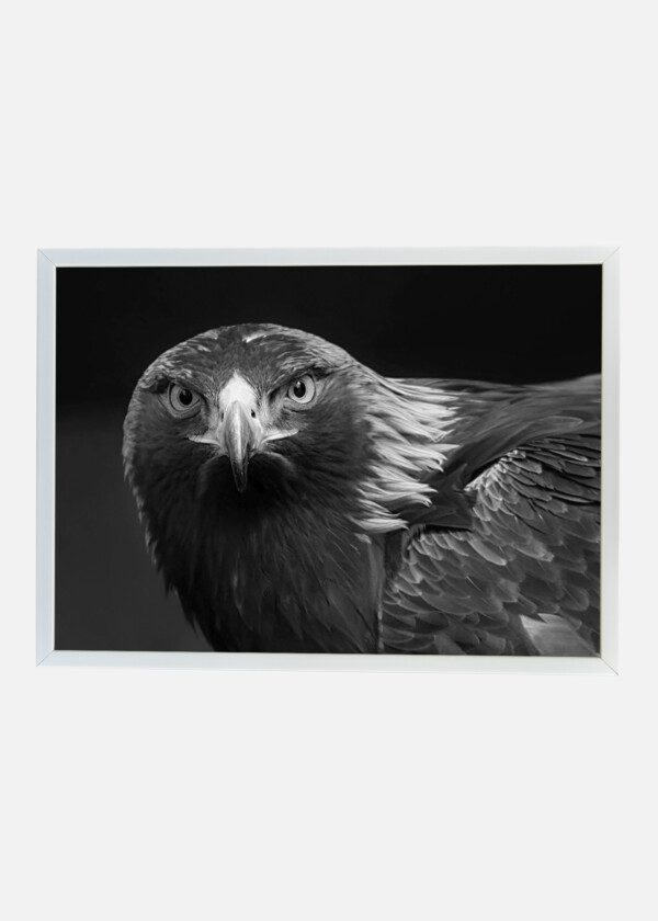EAGLE