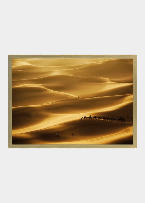 SAND PADS AND CAMELS