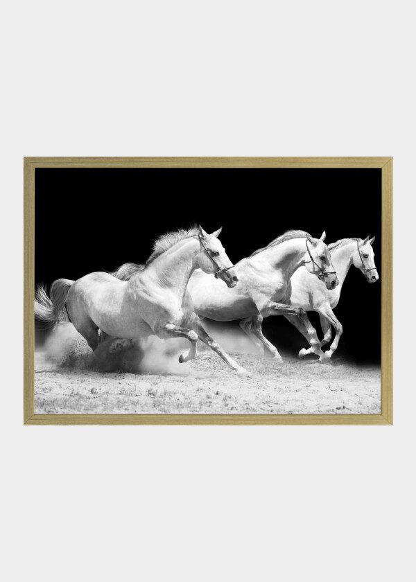 THREE WHITE HORSES