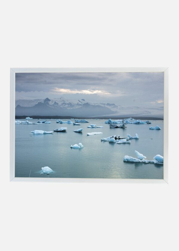 ICE FLOE