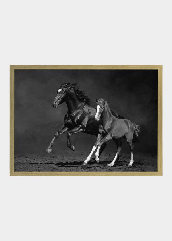 HORSE WITH FOAL