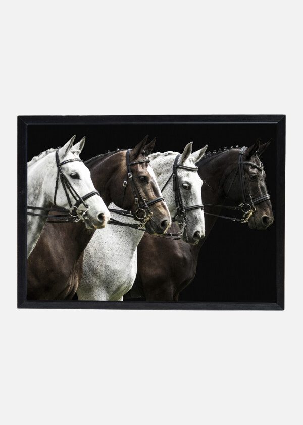 FOUR HORSES
