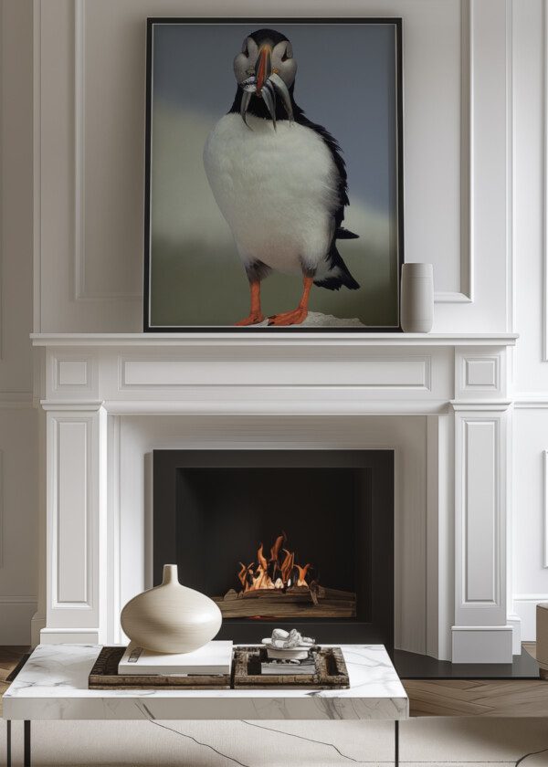 PUFFIN