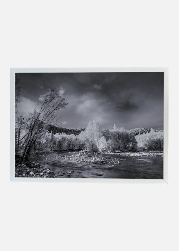 FOREST RIVER AND DARK CLOUDS