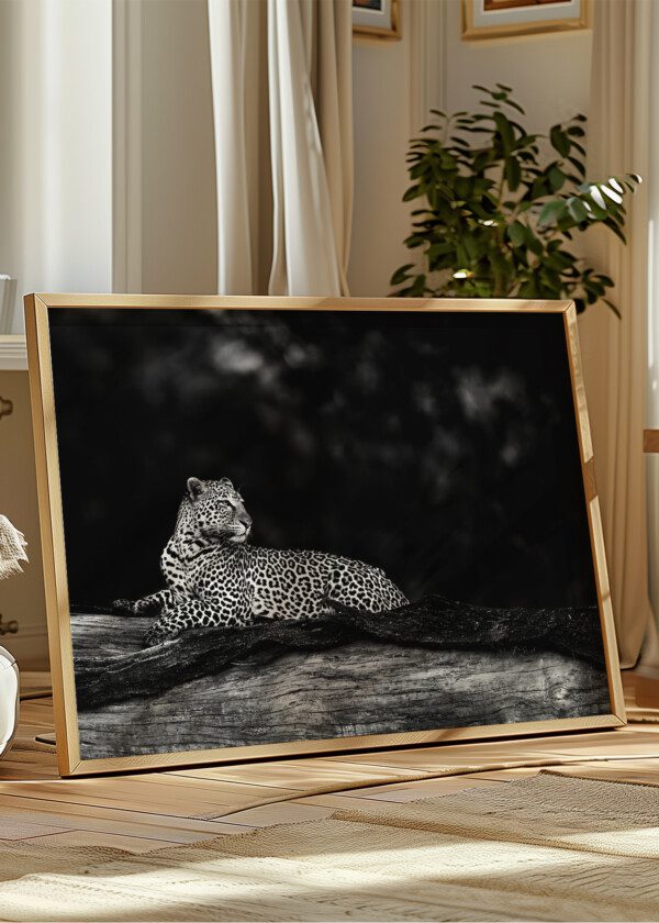 LEOPARD