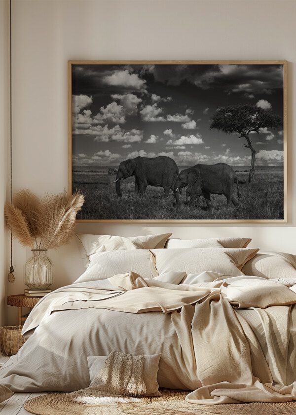 ELEPHANTS
