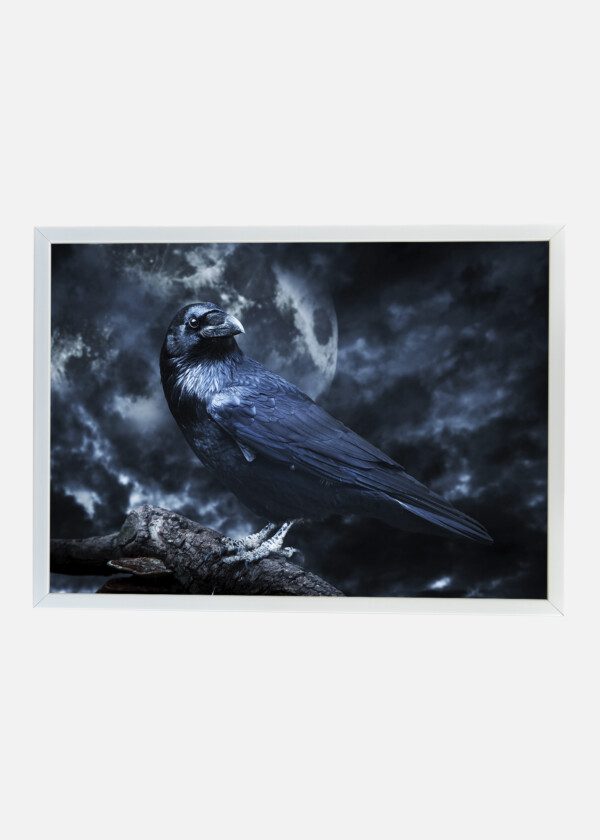 RAVEN