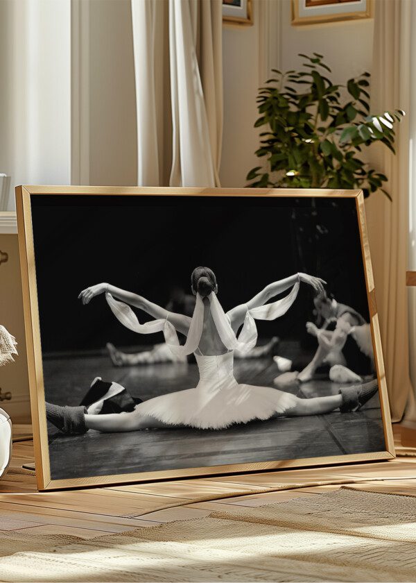 BALLET DANCER