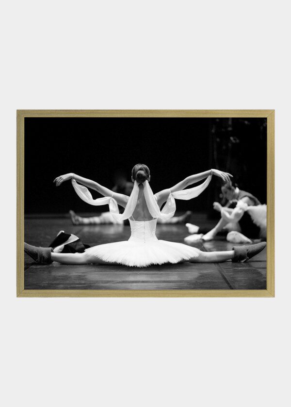 BALLET DANCER