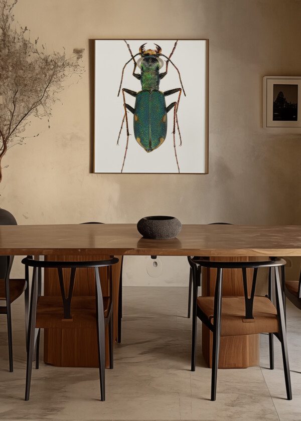 INSECTS