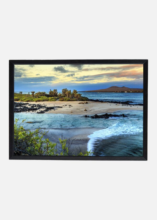GALAPAGOS
