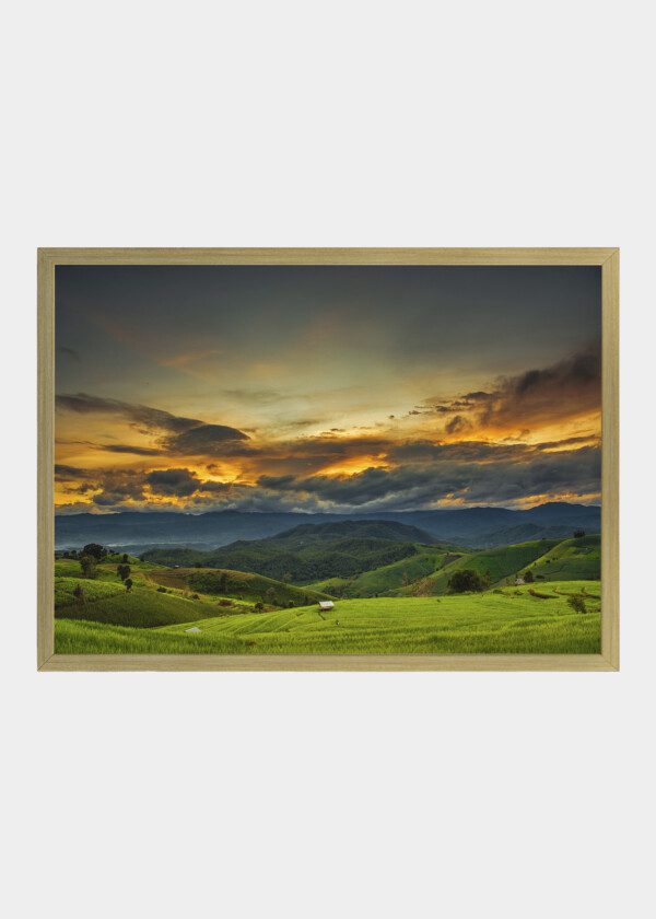 SUNRISE OVER GREEN HILLS