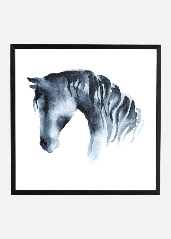 ILLUSTRATIONS. HORSE HEAD