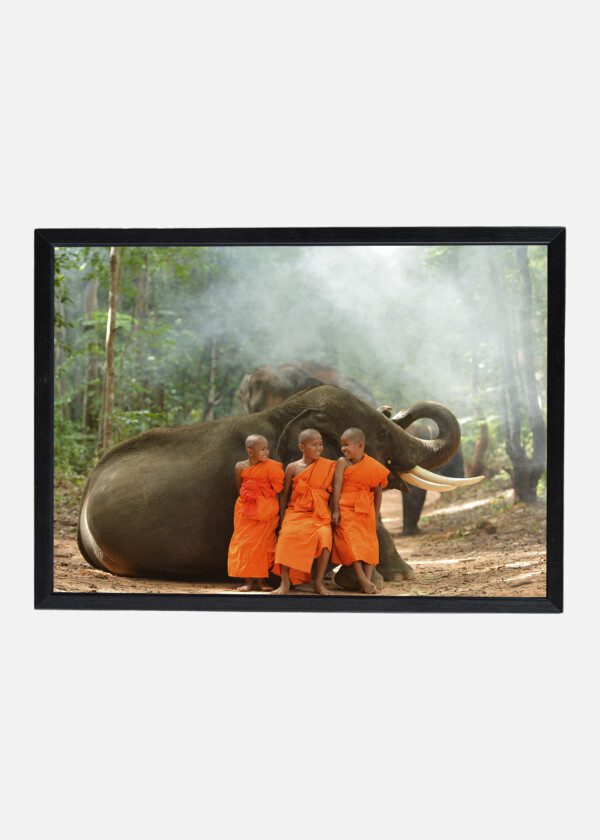 BUDDHIST BOYS AND ELEPHANT