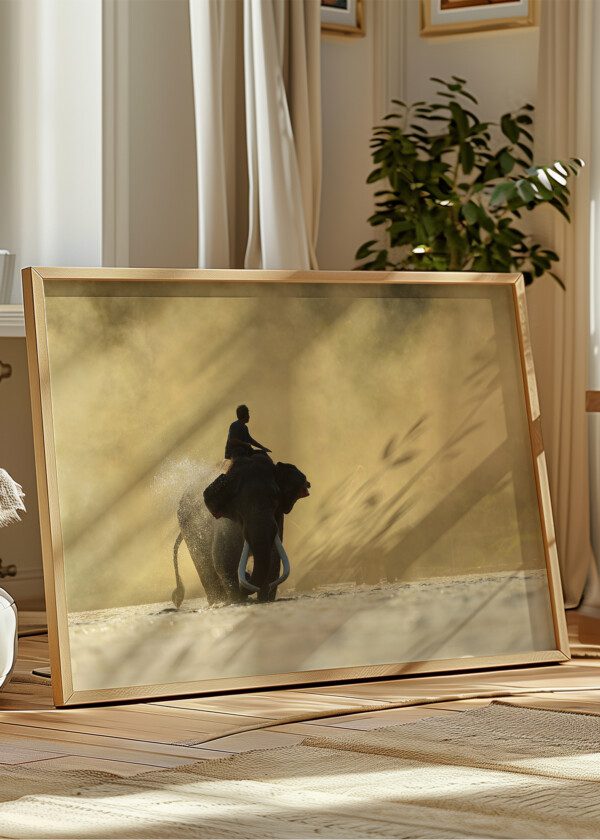 MAN RIDING AN ELEPHANT