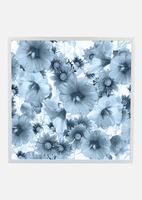 BLUE FLOWERS