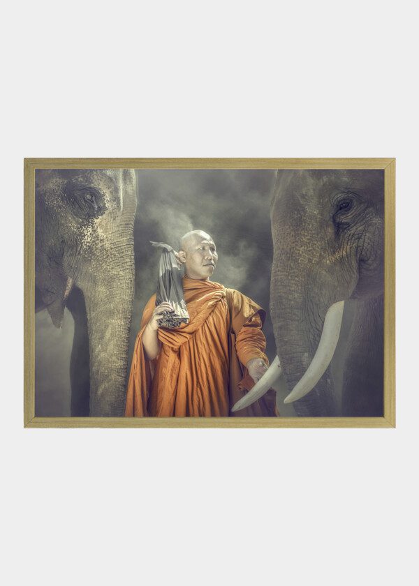 BUDDHIST MONK AND ELEPHANTS