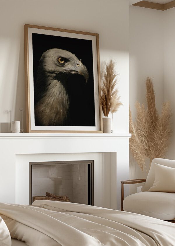 BIRD OF PREY
