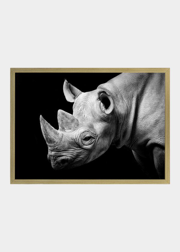 RHINOCEROS