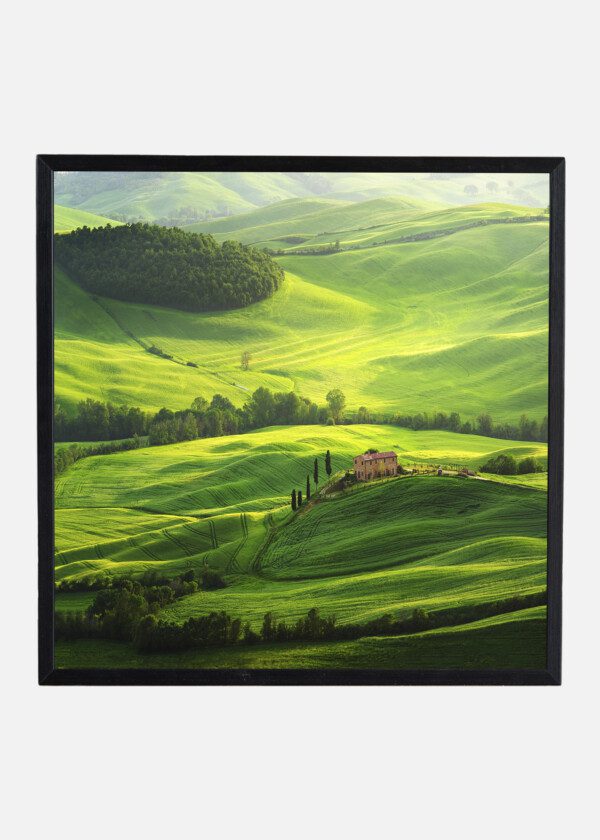 HOUSE AMONG GREEN HILLS