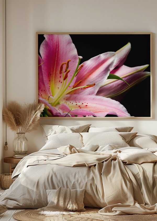 PINK LILY