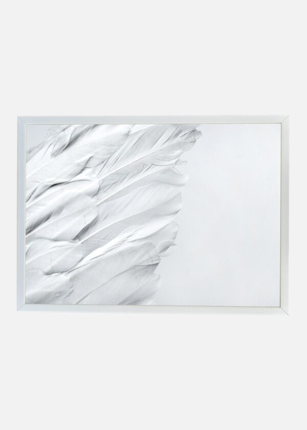 WHITE FEATHERS