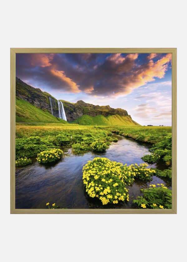 WATERFALLS AND YELLOW FLOWERS