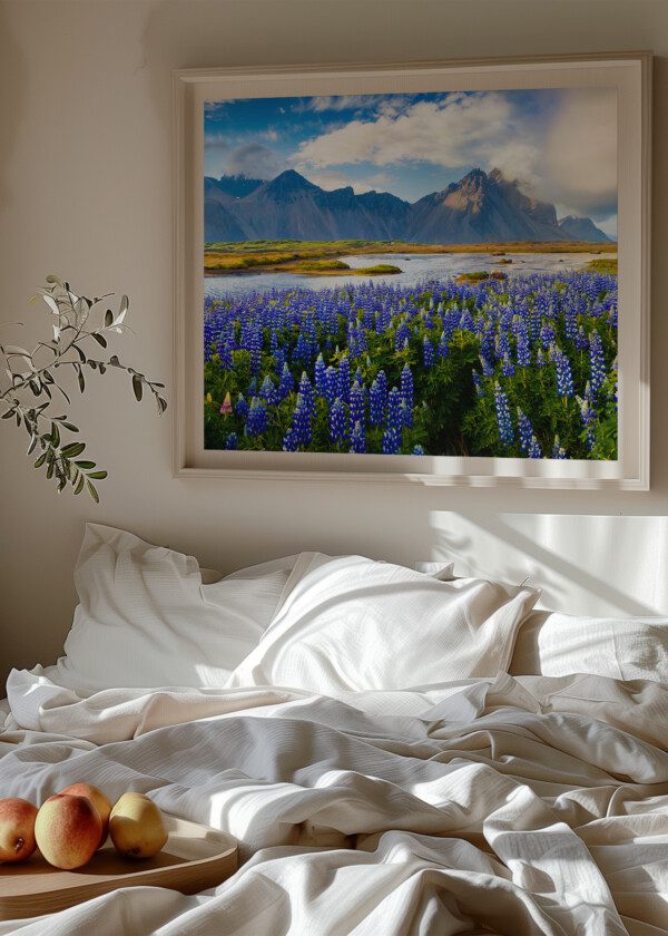 LUPINS AND HIGH MOUNTAINS