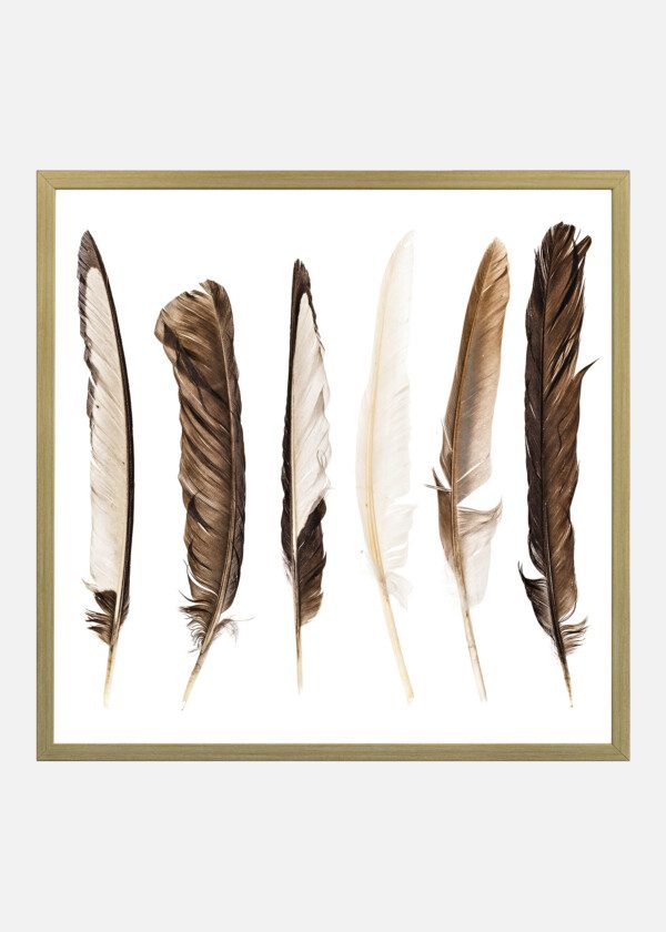 FEATHERS