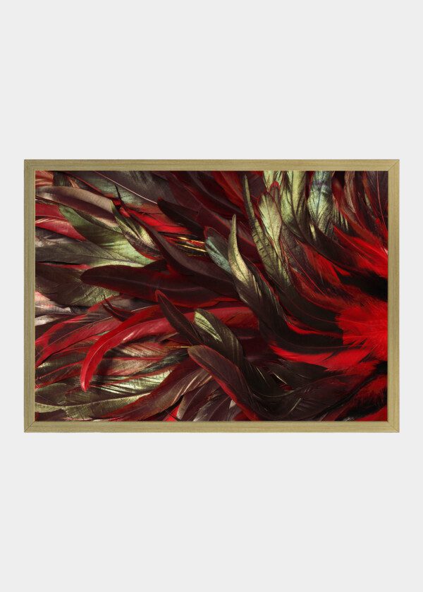 RED AND GOLD FEATHERS