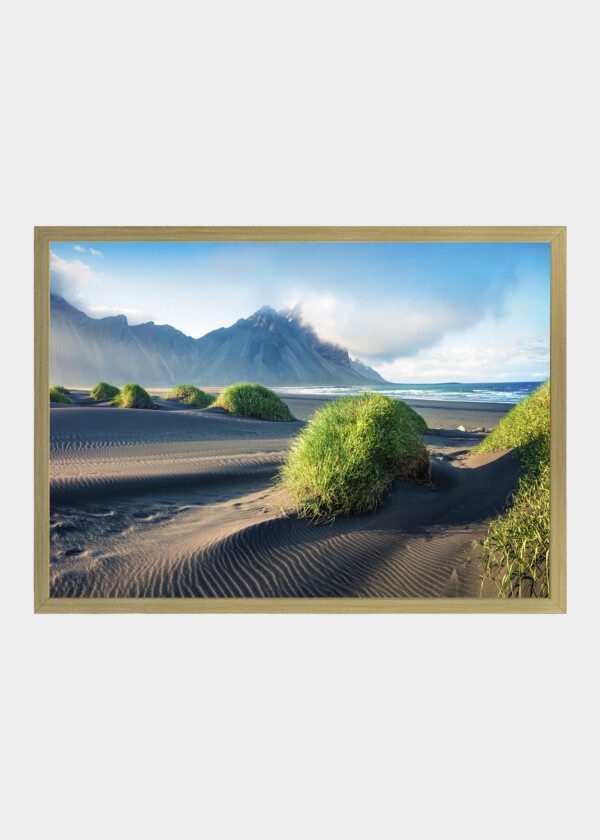 SANDY BEACH WITH GREEN BUSHES