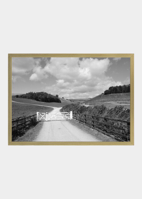 WHITE GATE