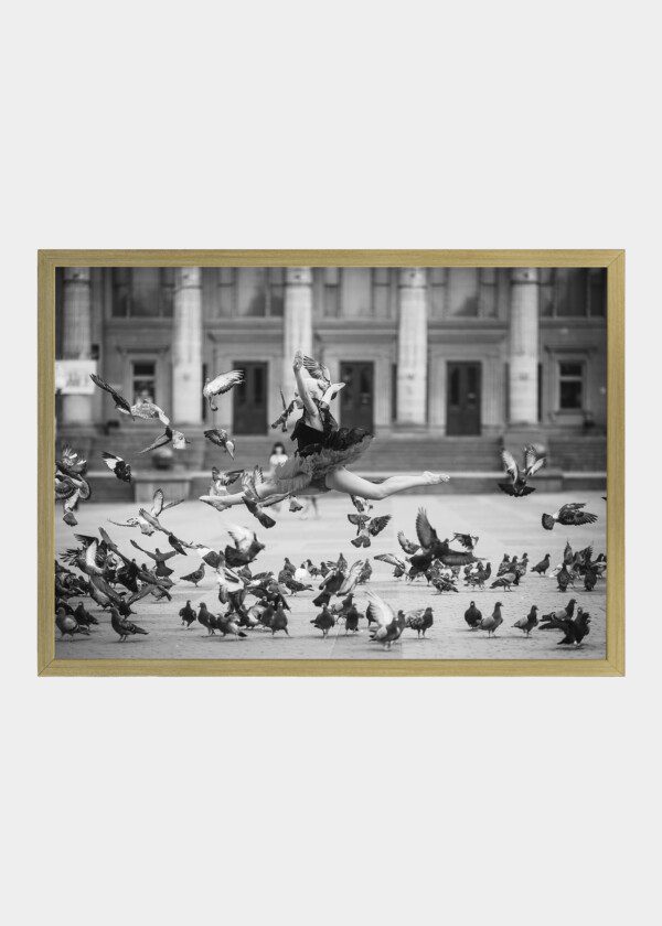 DANCING WITH PIGEONS