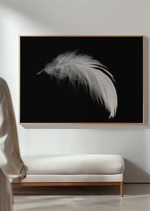 WHITE FEATHER AGAINST BLACK BACKGROUND