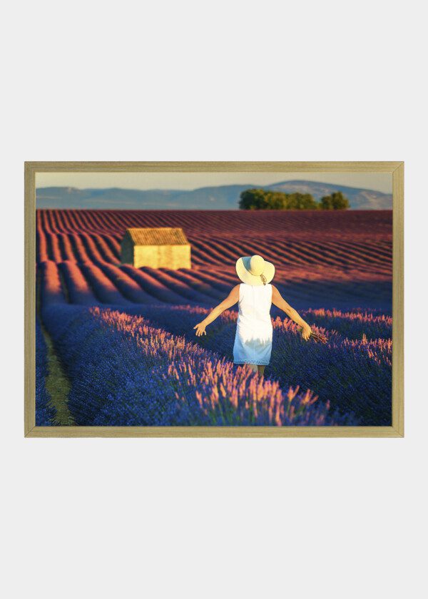 AUNT IN LAVENDER FIELD