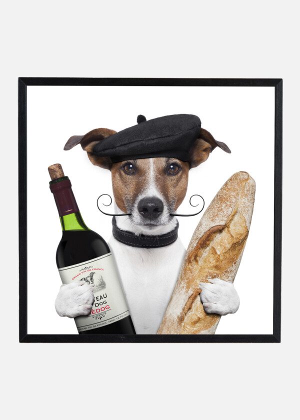 HUMOR FRENCH DOG