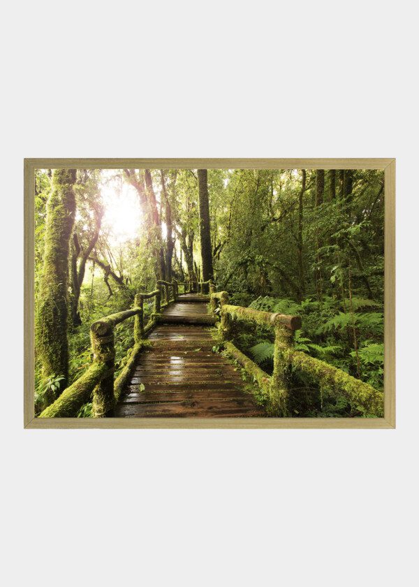 MOSSY STAIRCASE