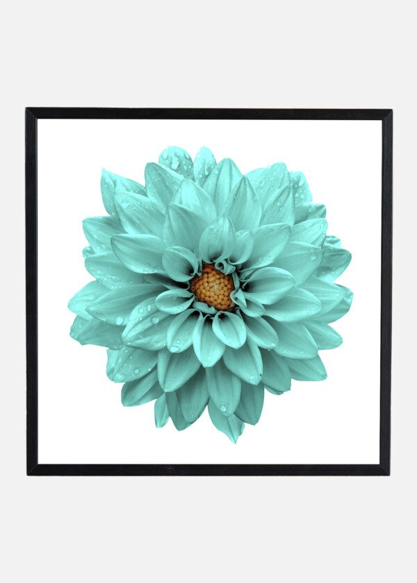 TURQUOISE FLOWER