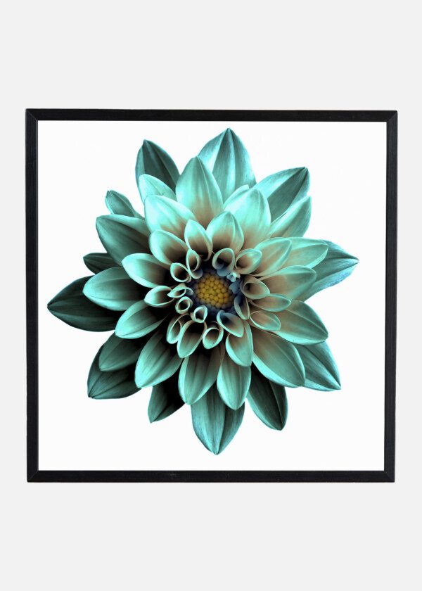 TURQUOISE FLOWER