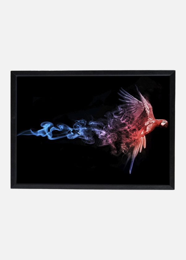 MACAW