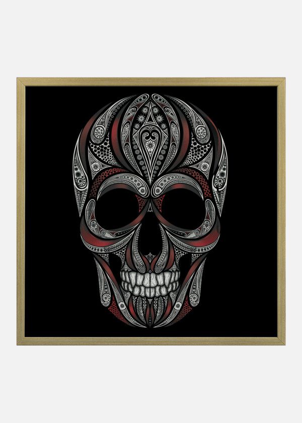 ILLUSTRATION. SKULL