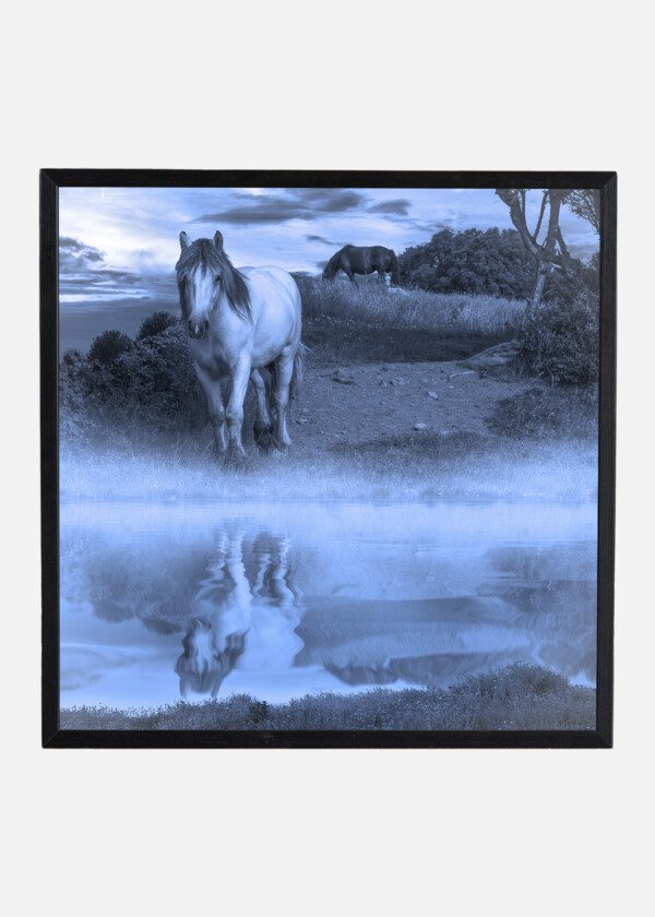 HORSES AT THE BEACH EDGE