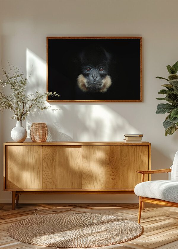 MONKEY