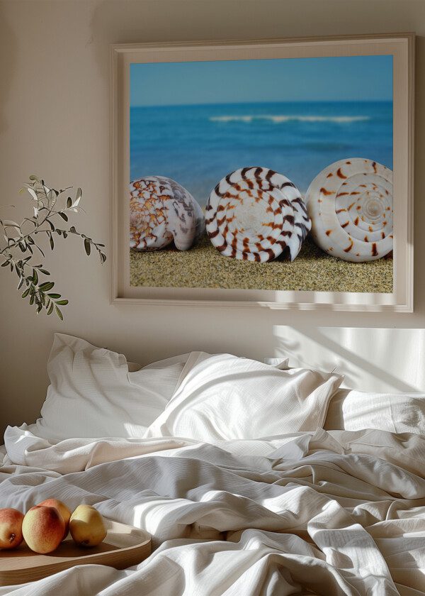 THREE SHELLS ON THE BEACH