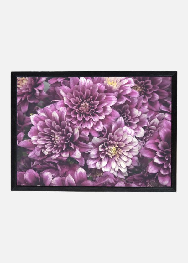 LIGHT PURPLE FLOWERS