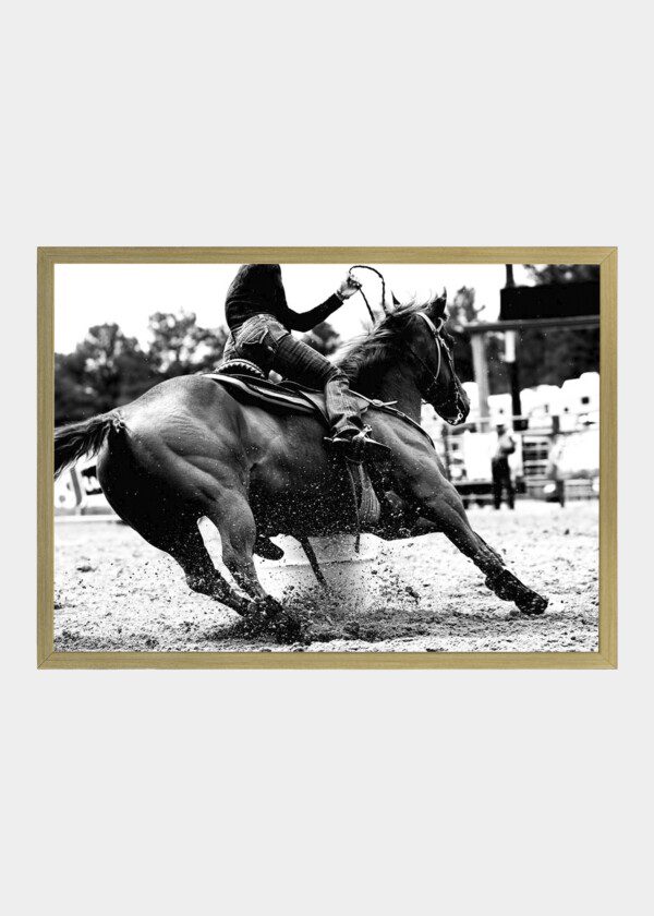 RODEO RIDERS