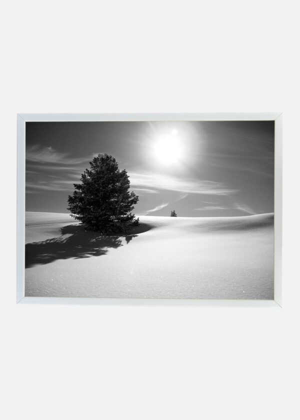 SNOW-COVERED EXPANSES
