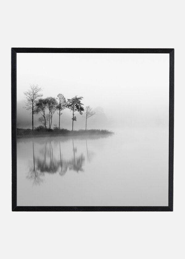 FOG OVER THE LAKE
